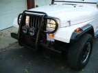Thumbnail Photo 124 for 1995 Jeep Wrangler 4WD Rio Grande